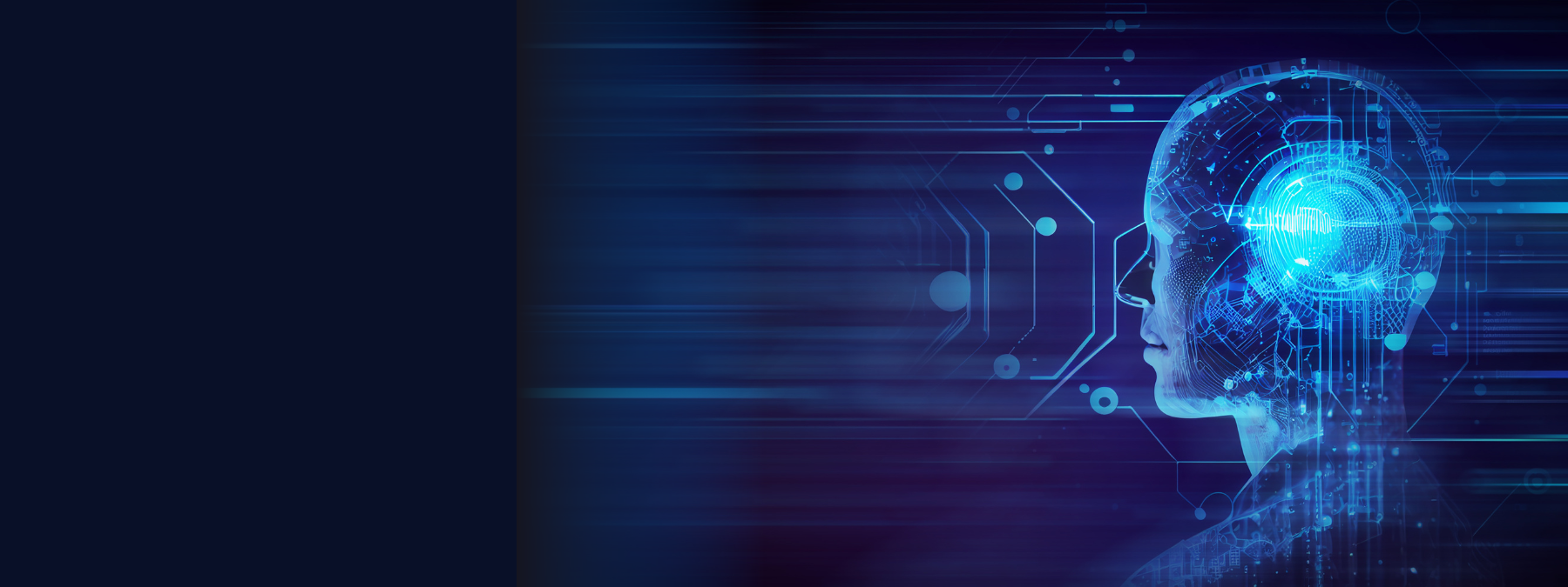 main banner